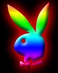 pic for Playboy colour